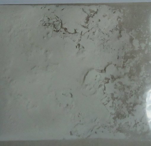 APICA 100g 510x493 1