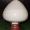 AM 1222 Powder 100g