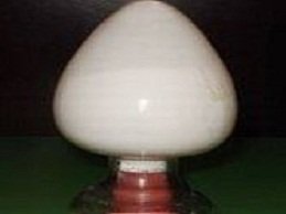 AM 1222 Powder 100g