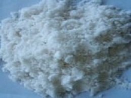 Buy MOPPP Online